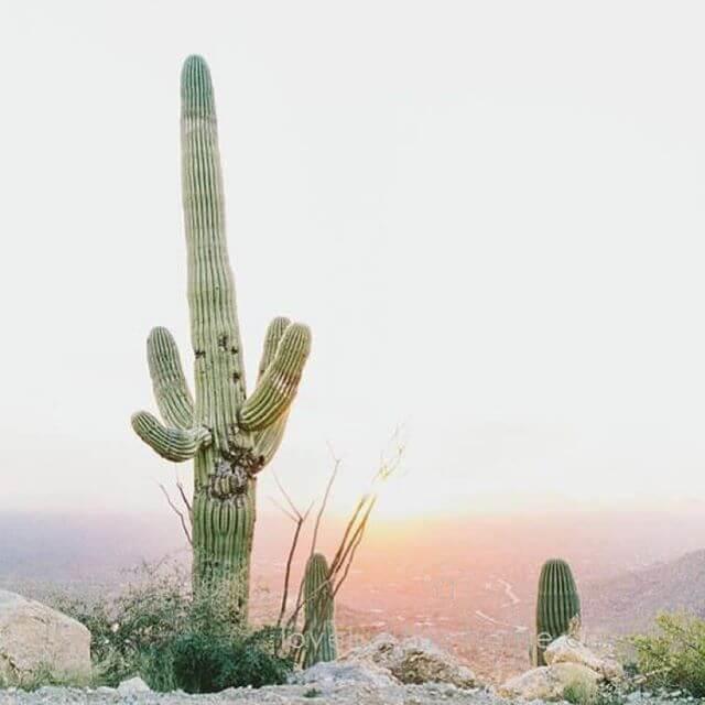 GOOD MORNING The sun is... - Spiritgirl Activewear